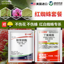 Acarid acarid, rose, strawberry, flower, domestic acarid