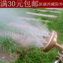 Agricultural sprayer spraying machine high pressure Atomization Nozzle Villa courtyard garden lawn Greening humidification watering flower artifact