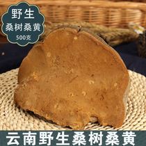 Pure natural wild Mulberry Mulberry Yunnan wild pruned Ganoderma lucidum non-Tibetan Phnom Penh can be sliced