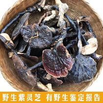 Deep mountain pure wild Ganoderma lucidum purple Ganoderma lucidum black lucidum Linzhi Zizhi Zhizhi pruning selection of dry liquor 250g sliced powder