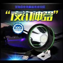 Watch Sea Fishing Light Blue Light lamp head LED High power 3W Outdoor fishing night fishing light to watch adrift