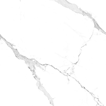 Wall and floor tile a808013q