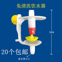 Clean-free pigeon water Cup pigeon water bowl automatic drinking cup automatic drinking water fountain pigeon Water Bowl feeder