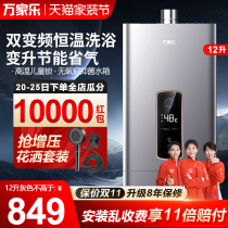 Home Gas gas water heater Home Natural gas 12 liters 13 Kitchen Liquefied Gas Bath Smart Strong Platoon type constant temperature