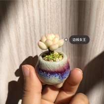 Wei original hand made the same camouflage thumb basin ceramic basin mini Basin does not contain the meat on the picture