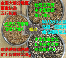 Peony tiger skin Xuanfeng Wen Bird Little Sun Golden Sun Monk Parrot Bird Food Bird Food Bird Food A 5 Jin Zhongtong