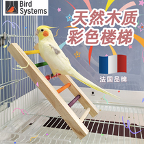 Imported parrot supplies bird ladder color toy stair station pole bird cage accessories tiger skin peony Xuanfeng