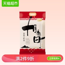 October rice field northeast Jilin Xiaoting rice 5kg sushi rice northeast fragrant rice japonica rice 10 jin round and crystal