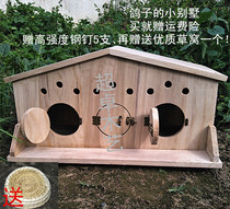 Outdoor solid wood pigeon nest with door large windproof hatching breeding nest box parrot wooden house can be hung to support customization