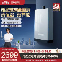 Boss gas water heater natural gas gas frequency conversion energy saving constant temperature household electric bath antifreeze 16 litres 602