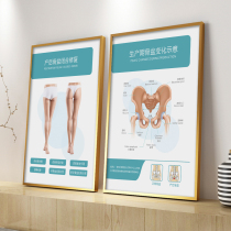 Beauty salon poster postpartum repair of pelvic floor muscles pelvic rectus abdominis advertising poster background wall aluminum alloy hanging wall