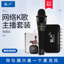 Charm T6-E300 external independent sound card microphone set network K song shouting wheat live microphone package debugging