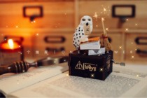 One drawer original Harry Potter Around Hedwig Owl Eight Music Box for Birthday Gift