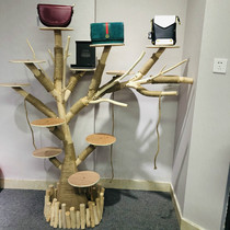 Light extravagant bag withered tree frame net red identical shop window cat climbing solid wood trunks creative show rack log clothes hat rack