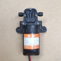 2021 new electric sprayer 12V water pump motor high pressure double pump variable frequency water pump high power car wash