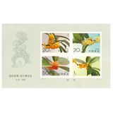 1995-19 Osmanthus toothless souvenir sheet, genuine post office philately/collectibles