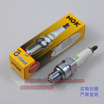 Earth Eagle King DD250E-9B DD250G-2N DD350E-6C CA250 NGK Platinum Spark Plug