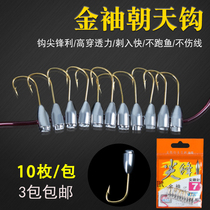 Long handle with barbed sky hook golden sleeve pill world Izu Ishini lead hook crucian carp traditional fishing group red worm