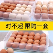 Egg storage box rack multi-layer household refrigerator rectangular lattice dumpling box Japanese food fresh-keeping box