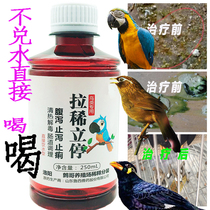 Bird special antiphlogistic parrot pigeon medicine scorpion starlings water rushes green feces diarrhea