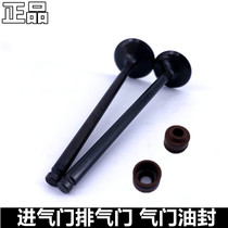 Suitable for Suzuki curved beam car Saichi QS110 valve QS110-C Saisheng QS110-2 cylinder head valve oil seal
