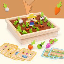 Mengs early education 2-3 a 4-year-old baby pulling radish toys childrens beneficial intelligence memory and building blocks game