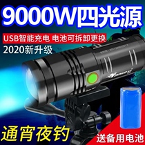 Night Fishing Light Blue Light Fishing Exclusive 2021 New brand fishing light Purple Light Bench Fishing Flashlight Xenon lamp