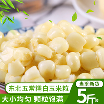 东北农家甜糯粘玉米粒5斤 新鲜速冻粘白苞米粒非即食家用农家自产