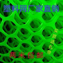 Thickened Green Plastic Flat Mesh Breeding Grid Beekeeping Beekeeping Chickens Raised Duck Raising Goose Fence Net Balcony Anti-Fall Protection T