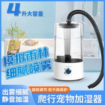 Natural reptile humidifier tortoise box lizard humidification creeping pet box moisturizing chameleon humidifier feeding box utensils