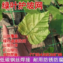 Mountain greening net Green leaf barbed wire Mine protection cover green hillside cover slope simulation leaf roll net body three