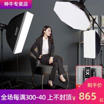 神牛dp600ii摄影灯600W二代闪光灯人像模特产品摄影棚拍照补光灯