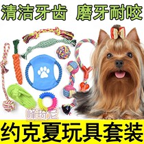 Yorkshire special rope knots toy ball with rope resistant to bite and grind the deachers Dogs are alone to decompress the small puppies