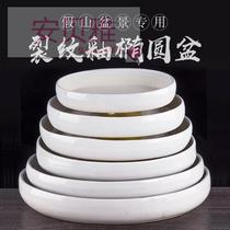 Sheung Shui Pot Ice Cracking Ceramic Flower Pot Oval Micro Landscape Rockery Narcissus Water Bonsai Multi-meat Flower Pot Tray