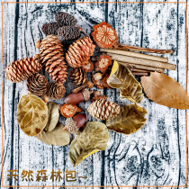Natural Forest Babe Pine Nuts Photo Props to Shoot Gourmet Food Creative Photography Retro made of old swing shots