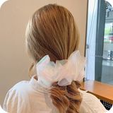 2020 spring and summer super fairy organza hair rope large intestine circle Korean hair accessories