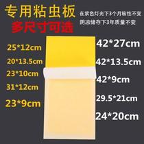 Fly-extinguishing lamp mosquito household sticky fly board moth sticky mosquito mosquito repellent lamp special mosquito killing paper 10 sheets of sticky paper flying insects