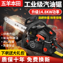 Dongcheng new multi-function 9980 high power gasoline logging saw household imported chain easy to start Garden chopping