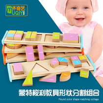 Montessori Early Lessons Intellectual Building Blocks Toy Baby Quality Beech Wood Shaped Segmented Cognition Children 1-6