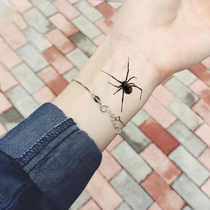 Halloween 3D Spider Tatoo Scorpion Temporary Tattoos Sticker