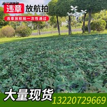 Zhan Furui green camouflage net sunscreen cloth sunshade camouflage net anti-counterfeiting anti-aerial photography thickened shade anti-satellite cover