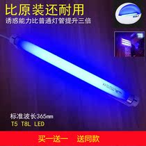 Fly-killing lighting tube Anti-mosquito 4w6w8W Drosophila lighting tube Trapping Lighting Tube FLUORESCENT TUBE LED Mosquito Killer Blue Purple Light