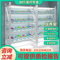Group Trained Laboratory Plant Vegetable LED Lighting Culture Racket Assembly Mobile Strap Racks