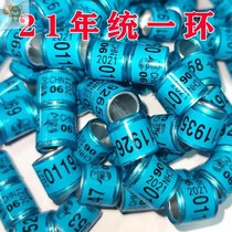 Pigeon ring carrier pigeon foot ring pigeon 2021 national unified ring electric ring foreign ring grass nest