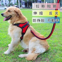 Big dog leash with walking dog rope medium large dog collar Labrador dog leash leash