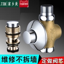 Flush valve hand press type delay valve stool toilet concealed squat toilet spool accessories toilet flush valve toilet