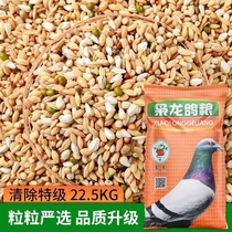 Xiaolong special clear grain Professional Pigeon Pigeon food for badminton letter pigeon feed 45kg Jiangsu Zhejiang and Shanghai