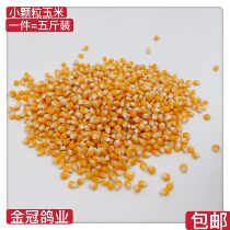 Special fine small grain corn Small golden yellow bird food Ornamental pigeon racing pigeon carrier pigeon parrot hamster food 5 pounds