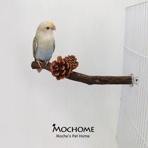 MOCHOME Songhua station bird with grinding claw Rod parrot gnaw bite toy parrot branch station solid wood station pole