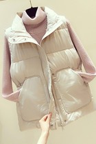 South Korea Down Cotton Horse Clip Women's 2021 Fall Winter New Thickened Loose Skinny Sleeveless Vest Joker Joker Jacket